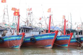 Ninh Bình quyết liệt triển khai chỉ đạo về chống khai thác IUU