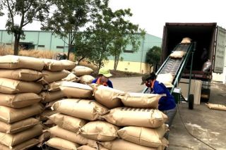 Đắk Lắk: Kim ngạch xuất nhập khẩu năm 2025 vượt mốc 3,6 tỷ USD, xác lập kỷ lục tăng trưởng mới