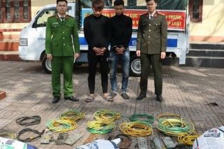 Bắt hai đối tượng thực hiện hơn 150 vụ trộm cáp viễn thông gây thiệt hại gần 1 tỷ đồng tại Nghệ An