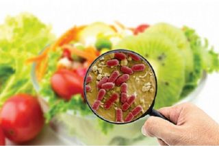 Khẩn trương điều tra vụ nhiều công nhân nhập viện nghi ngộ độc thực phẩm tại Vĩnh Long