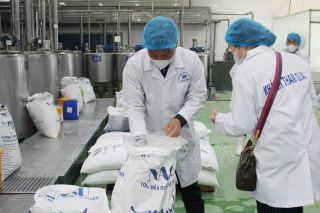Ngành y tế Hải Phòng triển khai đợt cao điểm chống buôn lậu, hàng giả lĩnh vực y tế dịp Tết
