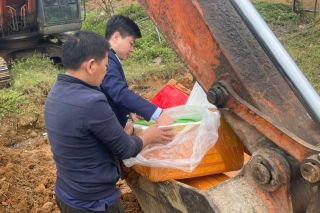 Nghệ An: Tiêu hủy 160 kg nội tạng lợn nhập lậu trong đợt cao điểm chống buôn lậu