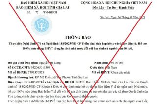 Gia Lai cảnh báo thủ đoạn giả mạo bảo hiểm xã hội gọi điện, lừa đảo chiếm đoạt tài sản