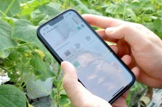 Đột phá theo Nghị quyết 57: Động lực tăng trưởng mới của địa phương