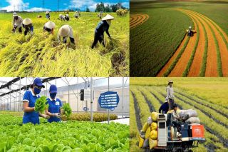 Nông nghiệp, nông thôn chuyển mình mạnh mẽ trong tiến trình công nghiệp hóa, hiện đại hóa