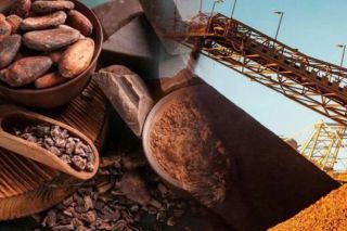 Thanh khoản sụt giảm trong ngày Mỹ nghỉ lễ, MXV-Index vẫn giữ sắc xanh