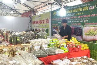 180 gian hàng tham gia Hội chợ Xuân Quảng Trị 2026