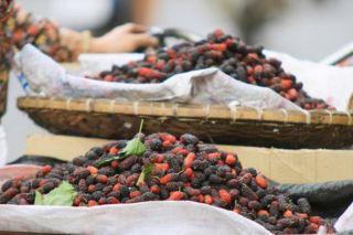 Lợi ích bất ngờ từ loại quả quen thuộc mang tên dâu tằm