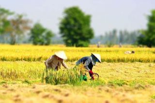 Nâng cao nhận thức về đào tạo nghề lao động nông thôn đối với phát triển kinh tế - xã hội
