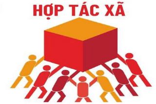 Động lực bao trùm cho việc làm và phát triển bền vững