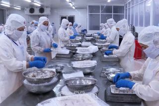 Cà Mau đẩy mạnh cải cách, tạo cú hích cho kinh tế tư nhân bứt phá