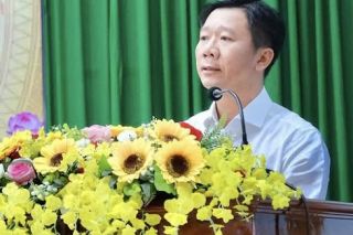 Gia Lai: Tổng giám đốc Becamex Bình Định ứng cử đại biểu HĐND tỉnh