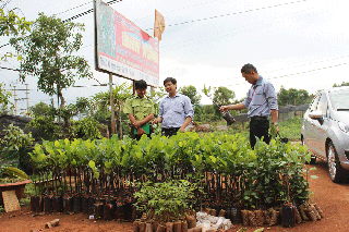 Tăng cường xử lý vi phạm trong kinh doanh giống cây trồng và vật tư nông nghiệp