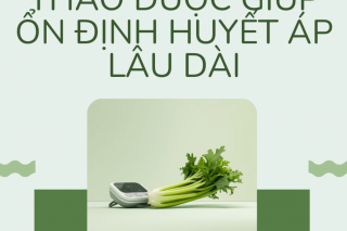 Bí quyết giúp kiểm soát huyết áp bền vững cho người cao tuổi