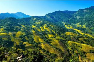 Lào Cai: Nâng hạng Khu bảo tồn thiên nhiên Bát Xát thành Vườn quốc gia Bát Xát