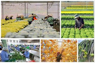 Tiêu dùng xanh: Từ “đồng thuận nhận thức” đến áp lực kiểm chứng giá trị
