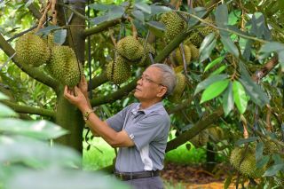 Lâm Đồng: Hợp tác xã nông nghiệp công nghệ cao tăng tốc, doanh thu hàng tỷ nhưng vẫn lộ “điểm nghẽn”