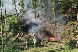 Bắc Ninh chủ động triển khai các biện pháp phòng cháy, chữa cháy rừng