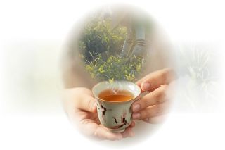 Giới thiệu sách: “Nghiệp Trà” - Hành trình giải mã thế giới phía sau một chén trà