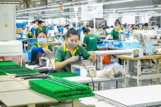 Việt Nam - Điểm sáng của thị trường lao động trẻ