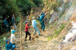 Lào Cai tăng cường biện pháp phòng cháy, chữa cháy rừng trong cao điểm nắng nóng