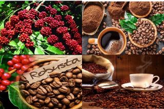 Thoát “bẫy xuất thô”, cà phê Lâm Đồng tăng tốc vào chuỗi giá trị cao
