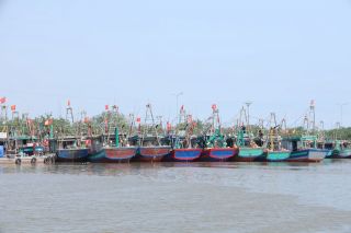Tạo nền tảng bền vững cho nghề cá Ninh Bình