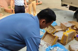 Ninh Bình: Tiêu hủy 150 kg chân gà đông lạnh nhập lậu