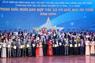 Trao Giải Ngôi sao Hợp tác xã và Giải Mai An Tiêm năm 2026