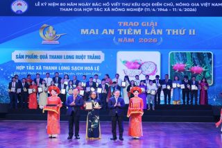 Hợp tác xã Thanh long sạch Hòa Lệ được vinh danh Giải Mai An Tiêm năm 2026