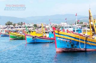 Đắk Lắk: Xử lý dứt điểm các tồn tại về chống khai thác IUU