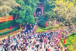 Như cây một cội, như con một nhà