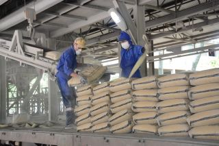 Xuất khẩu xi măng và clinker trong quý I/2026 đạt gần 10 triệu tấn