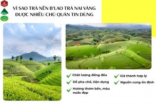 Trà Nai Vàng kiên định lối đi riêng: Chuẩn hóa sản xuất để nâng tầm trà Việt