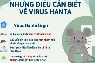 Hà Tĩnh: Tăng cường giám sát, phòng chống bệnh do vi rút Hanta