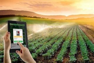 Hợp tác xã sắp được hỗ trợ tối đa 100 triệu đồng mỗi năm để chuyển đổi số