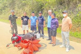 Cao Bằng: Khởi tố vụ án vận chuyển trái phép 59,2 kg vảy tê tê Java