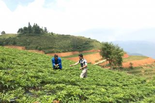 Lào Cai kêu gọi đầu tư 2 cơ sở chế biến sâu dược liệu và bảo tàng dược liệu
