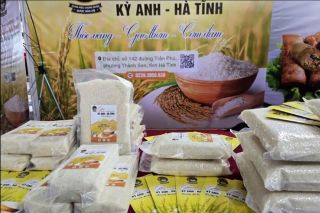 Gạo Kỳ Anh - Hà Tĩnh được cấp chứng nhận bảo hộ nhãn hiệu