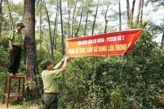 Hà Nội căng mình ứng phó nguy cơ cháy rừng giữa thời tiết khô nóng