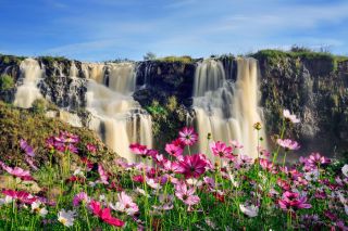Xứ ngàn hoa níu bước chân du khách, mở hướng phát triển du lịch bền vững cho Lâm Đồng