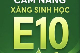 Cẩm nang xăng sinh học E10: Những điều người tiêu dùng cần biết