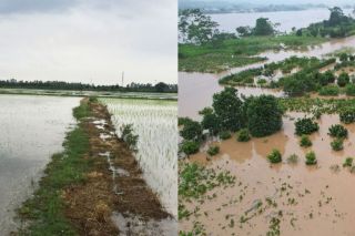 Hà Nội tăng cường tuyên truyền pháp luật về đê điều, thủy lợi và phòng, chống thiên tai