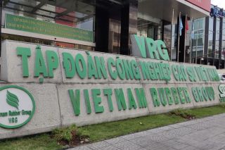Tập đoàn Công nghiệp Cao su Việt Nam chưa đáp ứng quy định mới về công ty đại chúng, vì sao vẫn được duy trì tư cách?