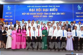 Cà Mau kiện toàn Hiệp hội Doanh nghiệp, tăng sức bật cho khu vực kinh tế tư nhân