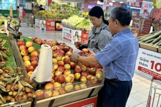 Thương mại, dịch vụ Hải Phòng 5 tháng đầu năm 2026: Tăng trưởng bứt phá toàn diện hơn 15%