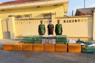 Đồn Biên phòng Pò Hèn phát hiện 480kg tràng lợn đông lạnh không rõ nguồn gốc
