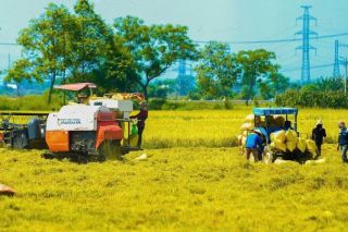 Cải cách thủ tục hành chính tạo dư địa phát triển cho doanh nghiệp nông nghiệp và môi trường
