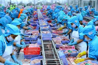 Xuất khẩu nông, lâm, thủy sản 100 tỷ USD: Thước đo năng lực tạo giá trị mới của nền nông nghiệp