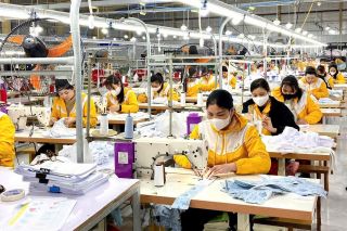 Lào Cai triển khai Chương trình hỗ trợ kinh doanh bền vững giai đoạn 2026 - 2030